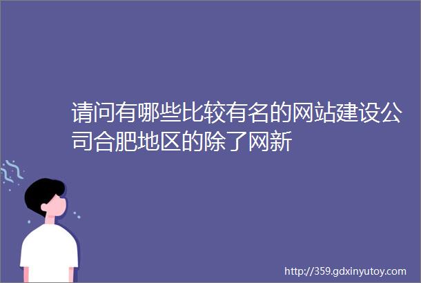 请问有哪些比较有名的网站建设公司合肥地区的除了网新